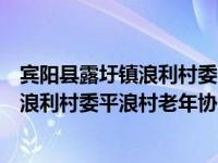 宾阳县露圩镇浪利村委平浪村老年协会（关于宾阳县露圩镇浪利村委平浪村老年协会介绍）