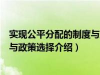 实现公平分配的制度与政策选择（关于实现公平分配的制度与政策选择介绍）