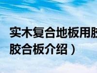 实木复合地板用胶合板（关于实木复合地板用胶合板介绍）