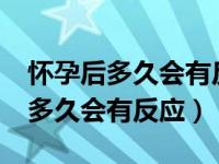 怀孕后多久会有反应?比如口味啥的（怀孕后多久会有反应）