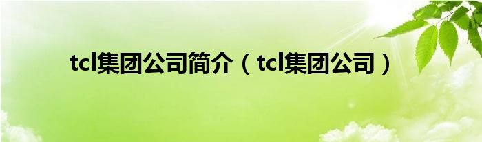 tcl集团公司简介（tcl集团公司）