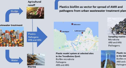 海洋塑料垃圾会传播抗菌药物耐药性