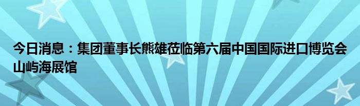 今日消息：集团董事长熊雄莅临第六届中国国际进口博览会山屿海展馆