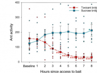 入侵的蚂蚁选择性地放弃有毒诱饵逃避我们最有效的消灭方法