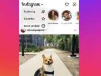 Instagram即将推出仅限MetaVerified的feed