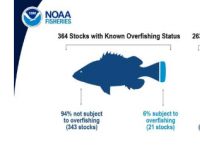 NOAA 报告过度捕捞持续下降