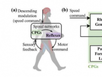新方法使用生成人工智能来模仿人类运动