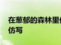 在葱郁的森林里仿写二年级 在葱郁的森林里仿写 