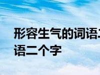 形容生气的词语二个字有哪些 形容生气的词语二个字 