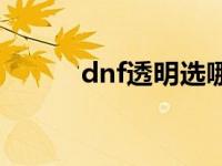 dnf透明选哪个部位 dnf透明石 