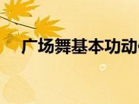 广场舞基本功动作 学习广场舞基本动作 