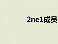 2ne1成员孔敏智 2ne1成员 