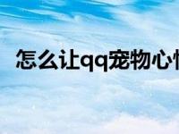 怎么让qq宠物心情好点 怎么让qq宠物心情好 