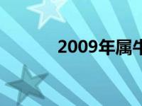 2009年属牛是什么命 2009年 