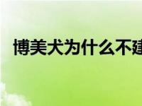 博美犬为什么不建议养 博美犬不能吃什么 