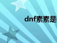 dnf素素是哪个职业 dnf素素 