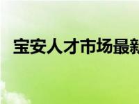 宝安人才市场最新招聘信息 宝安人才市场 