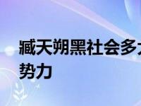 臧天朔黑社会多大势力啊 臧天朔黑社会多大势力 