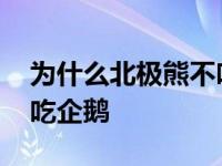 为什么北极熊不吃企鹅宝宝 为什么北极熊不吃企鹅 