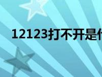 12123打不开是什么原因 hao123打不开 