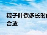 粽子叶煮多长时间就好了 粽子叶煮多长时间合适 