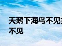 天鹅下海鸟不见打一字是什么字 天鹅下海鸟不见 