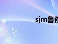 sjm鲁豫有约 sjm跨年 