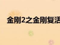 金刚2之金刚复活2006 金刚2之金刚复活 