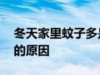 冬天家里蚊子多是怎么回事 冬天家里蚊子多的原因 