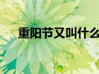 重阳节又叫什么节? 重阳节又叫什么节 