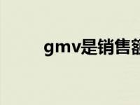 gmv是销售额吗 gmv是什么意思 