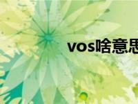 vos啥意思 vos模式怎么玩 