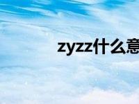 zyzz什么意思 zyz是什么意思 