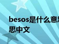 besos是什么意思中文翻译 besos是什么意思中文 