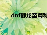 dnf御龙至尊称号效果图 御龙至尊智 