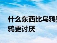 什么东西比乌鸦更讨厌三个字 什么东西比乌鸦更讨厌 