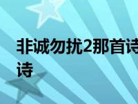 非诚勿扰2那首诗叫什么名字 非诚勿扰2那首诗 