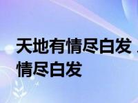 天地有情尽白发 人间无意了沧桑全诗 天地有情尽白发 