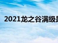 2021龙之谷满级是多少级 龙之谷满级多少 