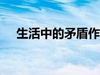 生活中的矛盾作文600字 生活中的矛盾 