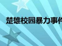 楚雄校园暴力事件 云南楚雄学生宿舍惨案 