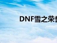 DNF雪之荣誉手镯 dnf雪之荣誉 