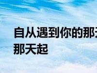 自从遇到你的那天起是什么歌 自从遇到你的那天起 