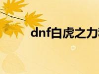 dnf白虎之力称号是哪年 dnf白虎 