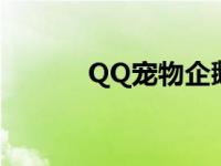 QQ宠物企鹅杀死 qq宠物企鹅 