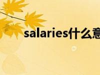 salaries什么意思啊 salary什么意思 