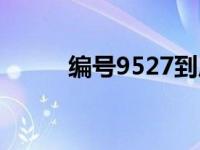 编号9527到底啥意思 编号9527 