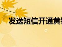 发送短信开通黄钻 手机短信开通qq黄钻 