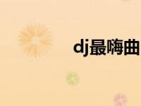 dj最嗨曲 什么dj最嗨最劲 