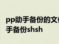 pp助手备份的文件可以在电脑上打开吗 pp助手备份shsh 